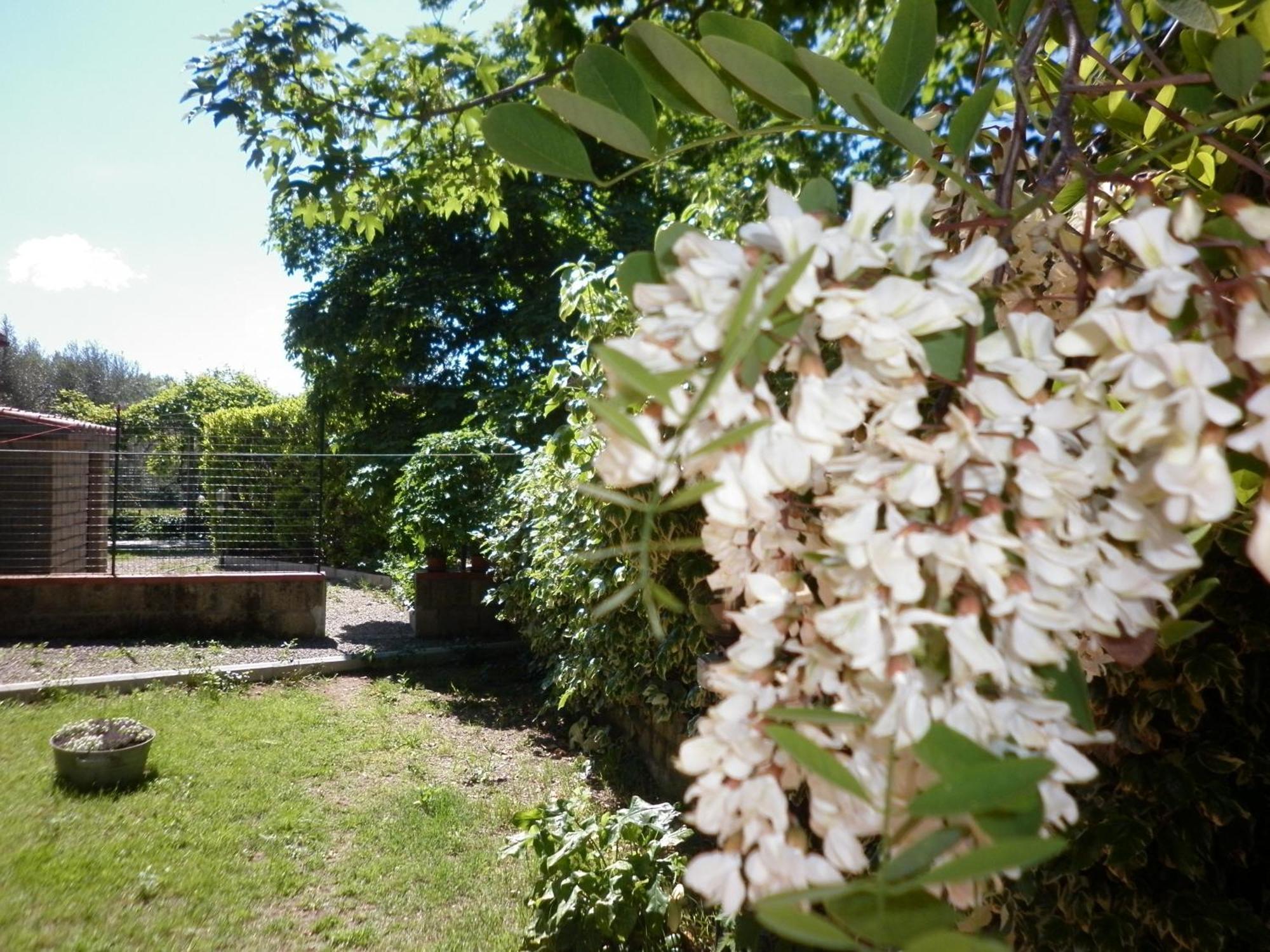 Maremma Nel Tufo Guest House Pitigliano Exterior photo