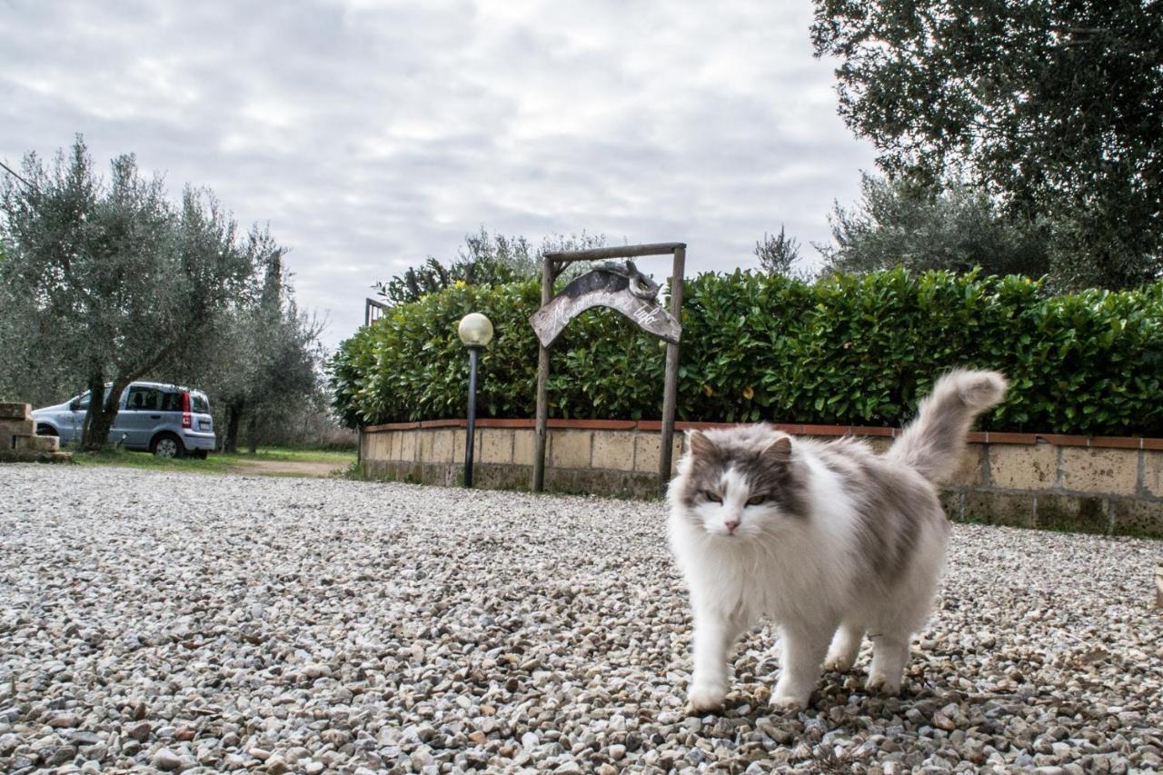 Maremma Nel Tufo Guest House Pitigliano Exterior photo